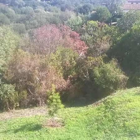 Studio In Porticcio *